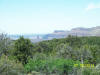 View of Fisher Towers from Thompson Canyon